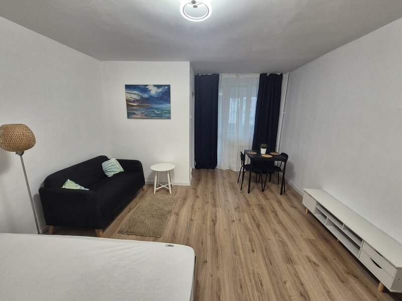 Basarabia cu Nicolae Grigorescu, pe Nicolae Sebe, 10 minute metrou,