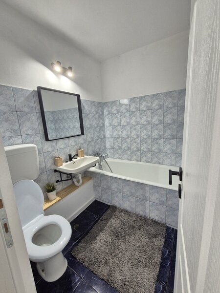 Basarabia cu Nicolae Grigorescu, pe Nicolae Sebe, 10 minute metrou,